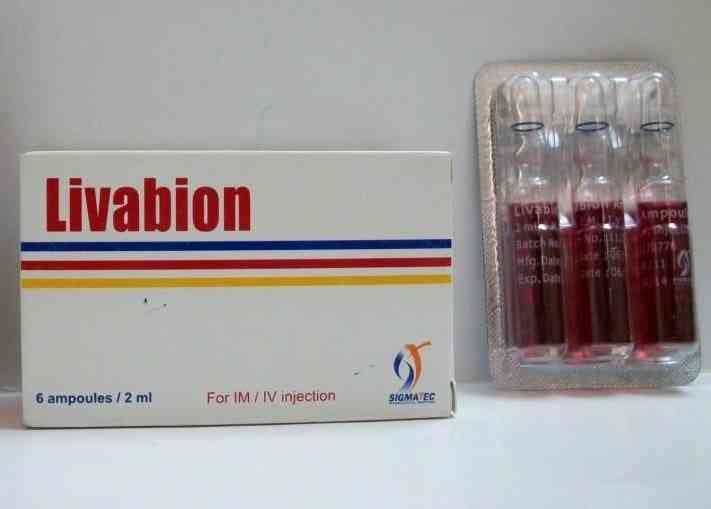 LIVABION 6 AMP
